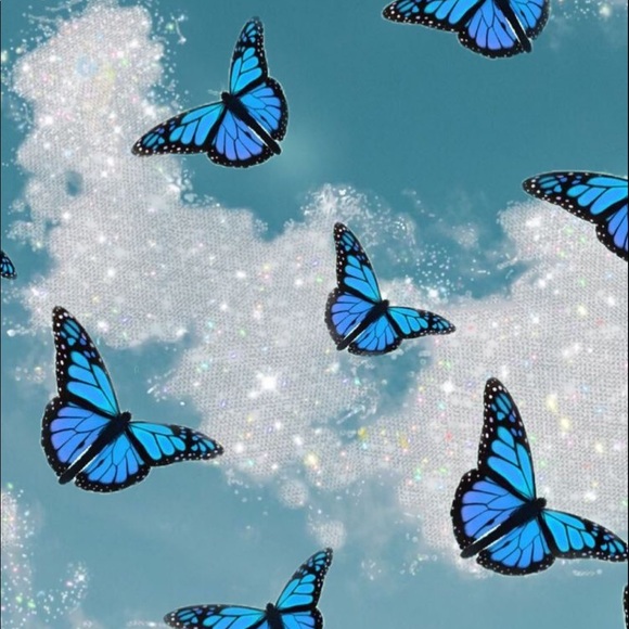 Meet your Posher, Sky - Picture 1 of 1